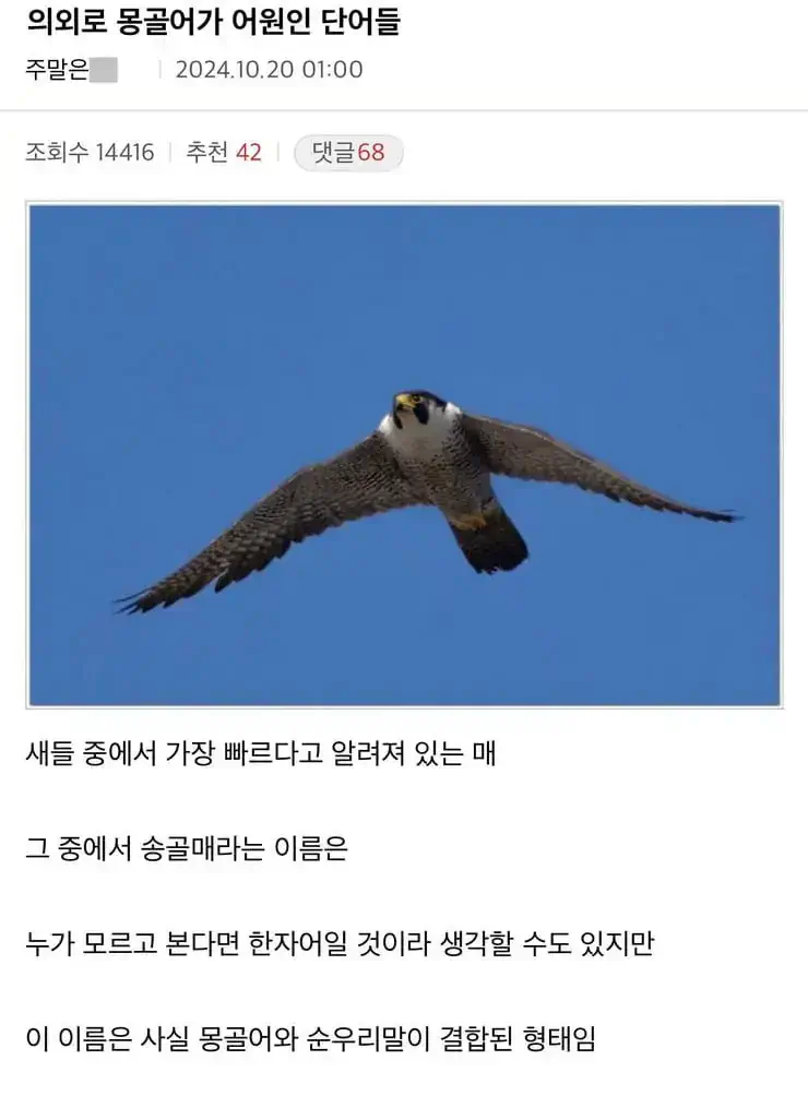 의외로 몽골어가 어원인 단어들