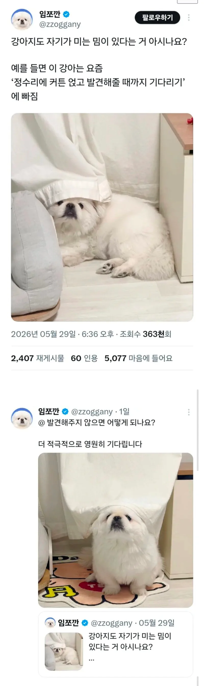 의외로 강아지들에게도 있다는 것.jpg