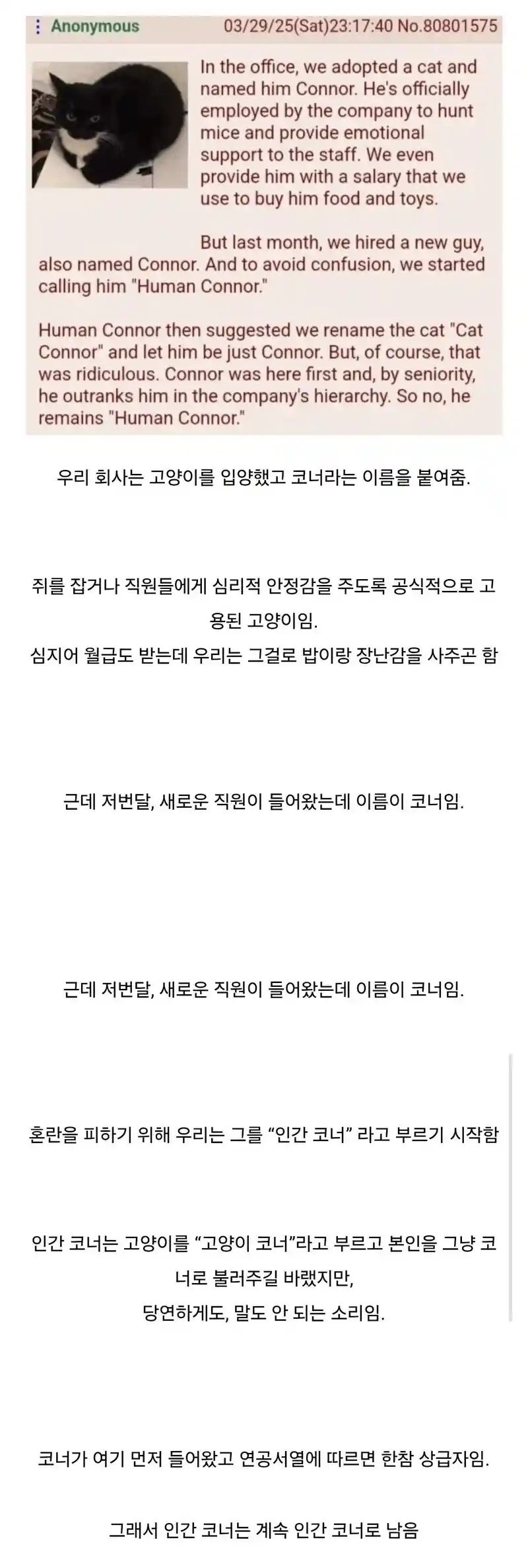 미국의 직장내 연공서열 문화.jpg