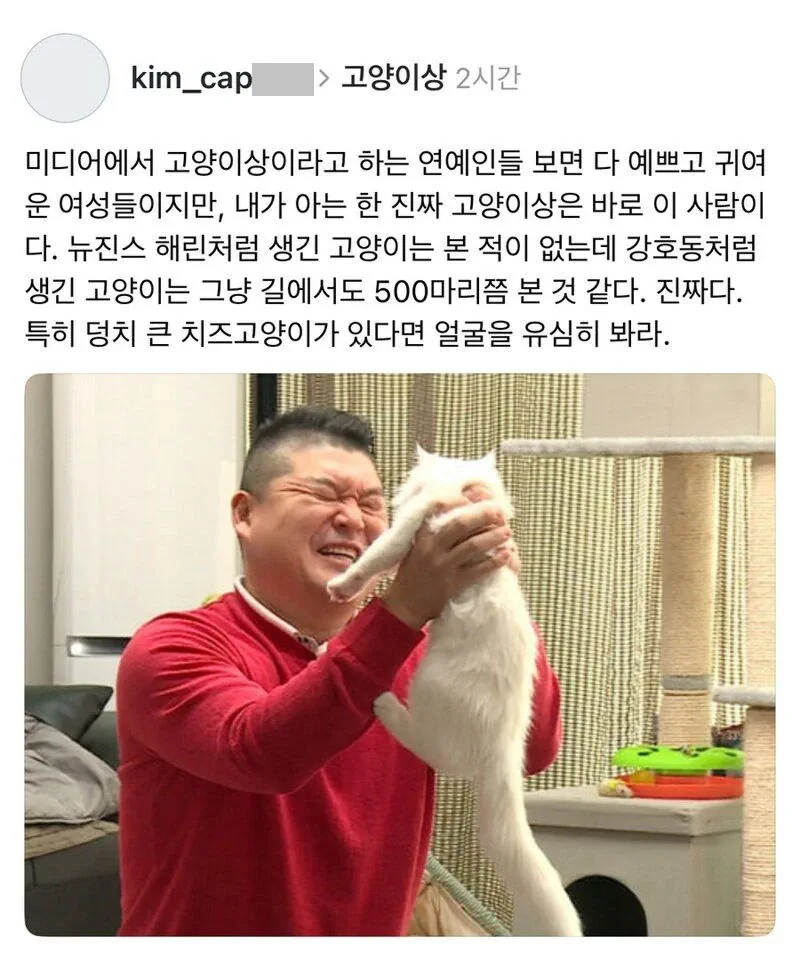 반박불가 연예계 최고 고양이상.jpg