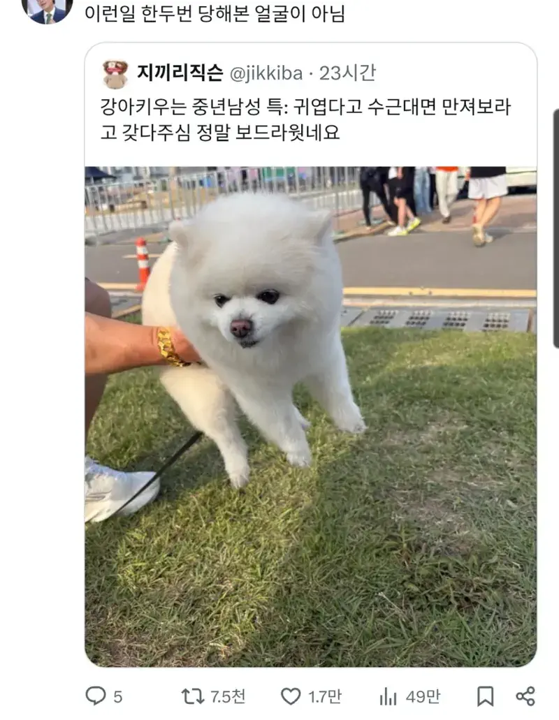 강아지 키우는 중년 남성 특징