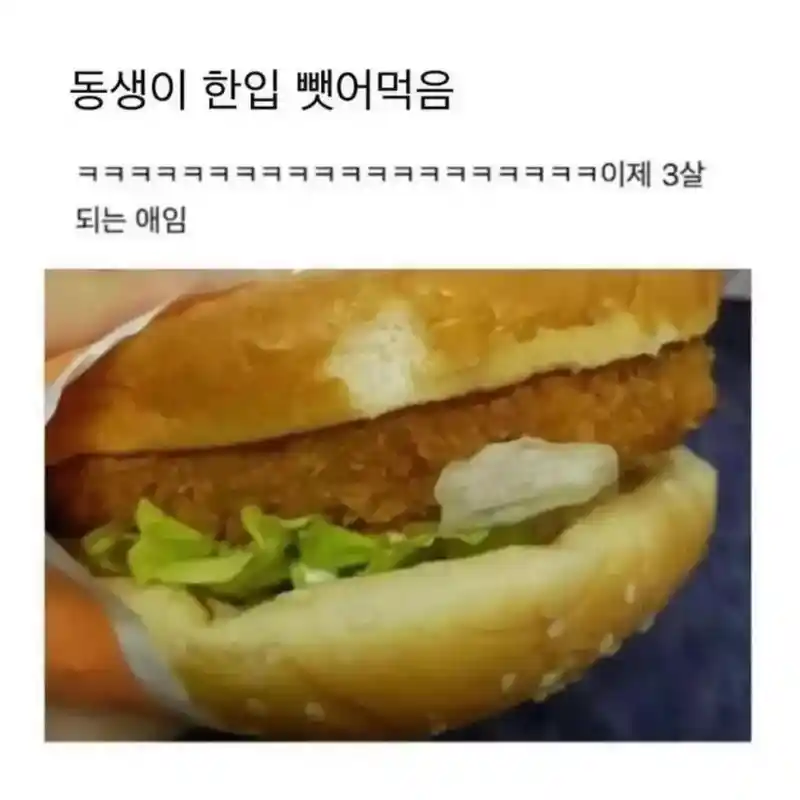 동생이 햄버거 한입만 달라고 함