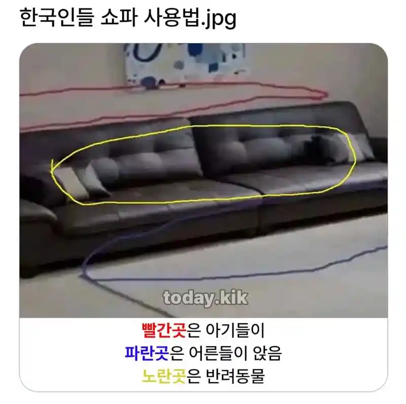 한국인들의 쇼파 사용법