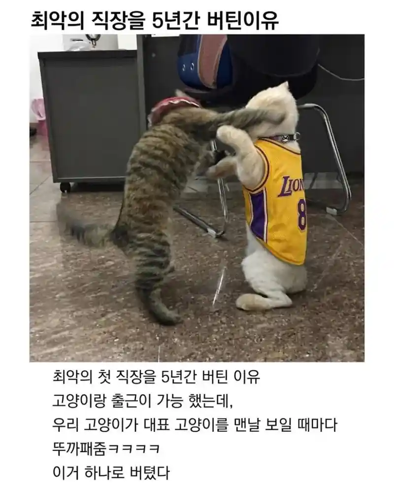 최악의 직장을 5년간 버틴 이유