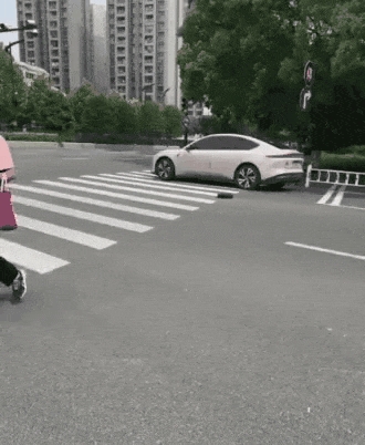 주인 몰래 집에서 탈출한