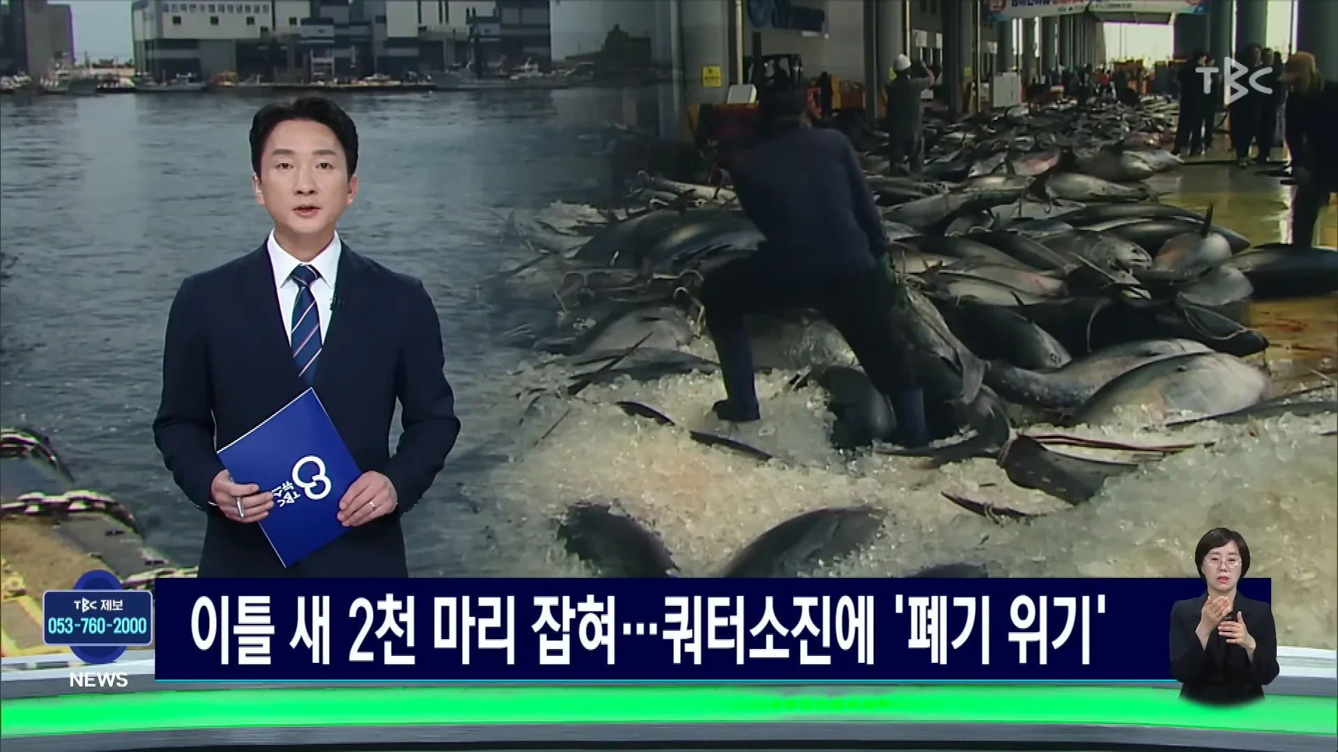참치 때문에 난리났다는 동해 근황