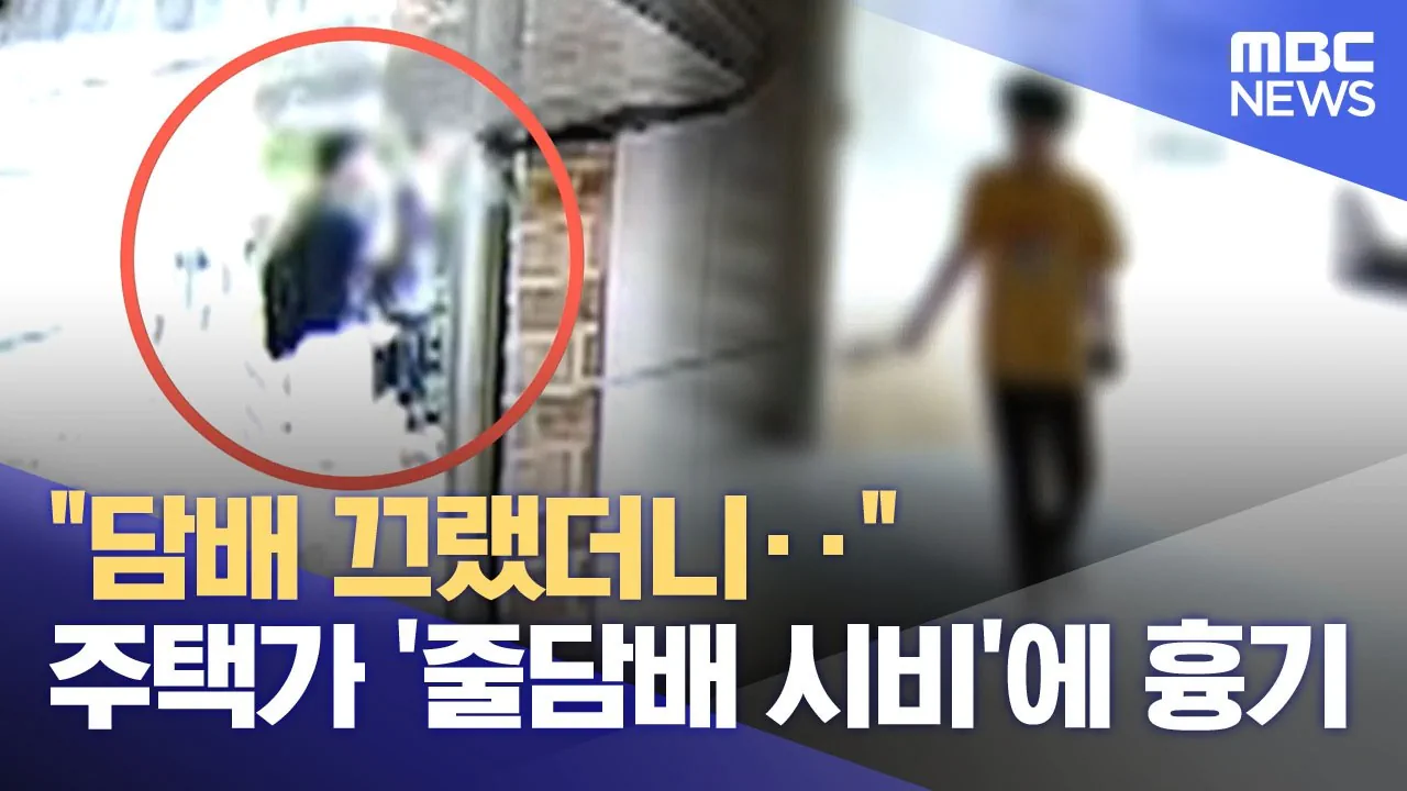 집 앞 줄담배 고교생 제지하자 "'장애인 아들' 욕"‥결국 흉기소동까지
