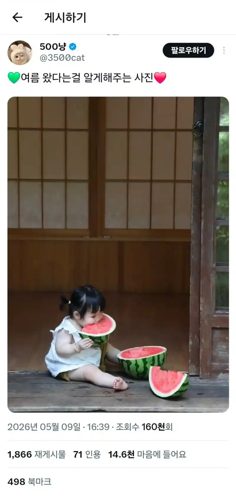 여름이 왔다는 걸 알게해주는 사진