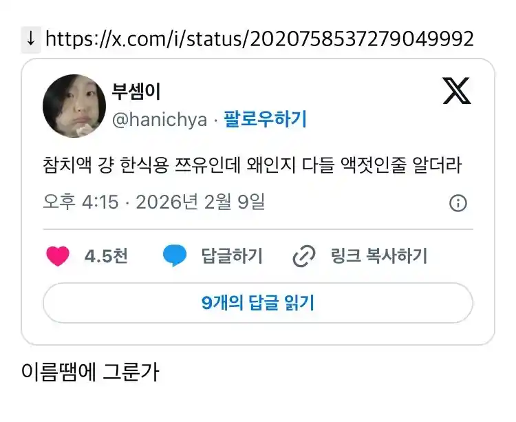 참치액 걍 한식용 쯔유인데 왜인지 다들 액젓인줄 알더라