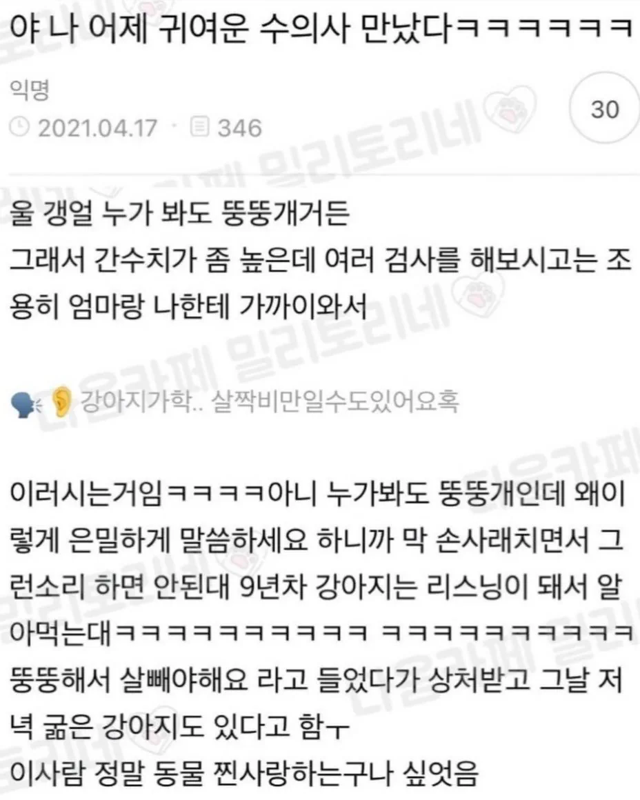 야 나 어제 귀여운 수의사 만났다 ㅋㅋㅋㅋㅋㅋㅋ.jpg