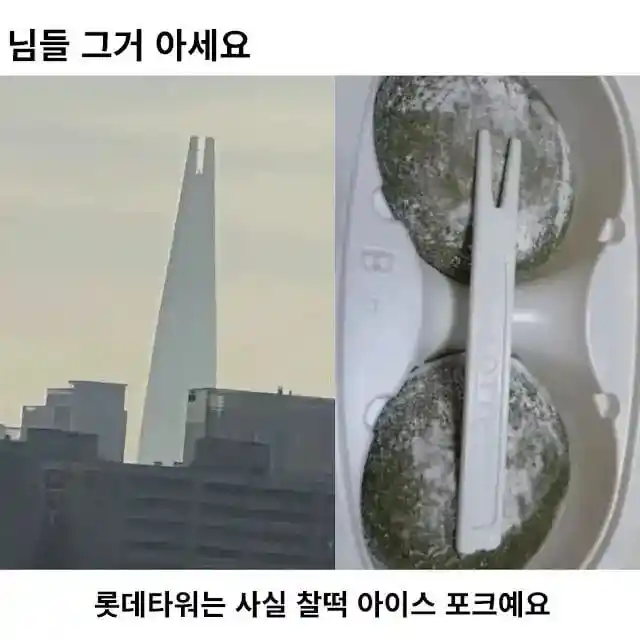 롯데 타워와 포스코 타워의 정체