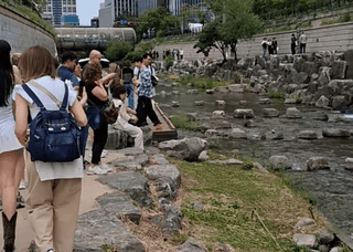 청계천에 등장한 이상한 사람