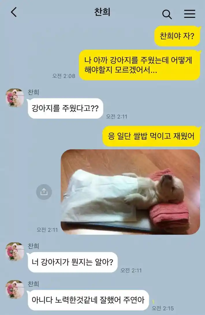 강아지를 주웠는데