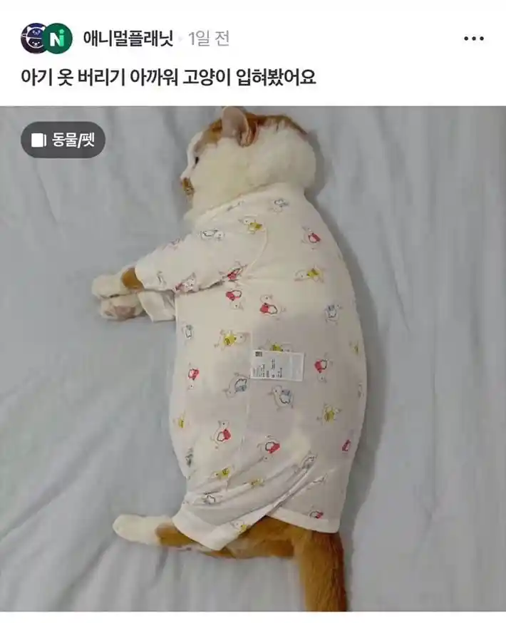 아기옷 버리기 아까워서