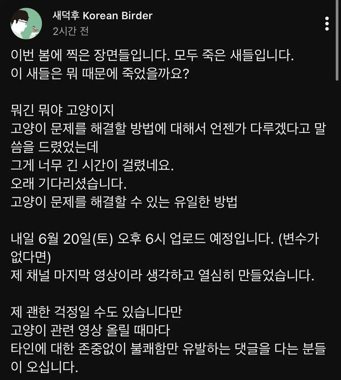 사체주의) 조류 유튜버가 공개한 길고양이가 죽인 새들