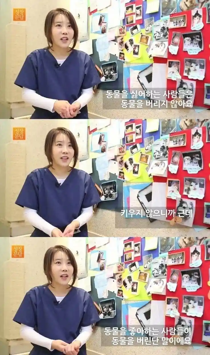 동물을 좋아하는 사람이 동물을 버린다