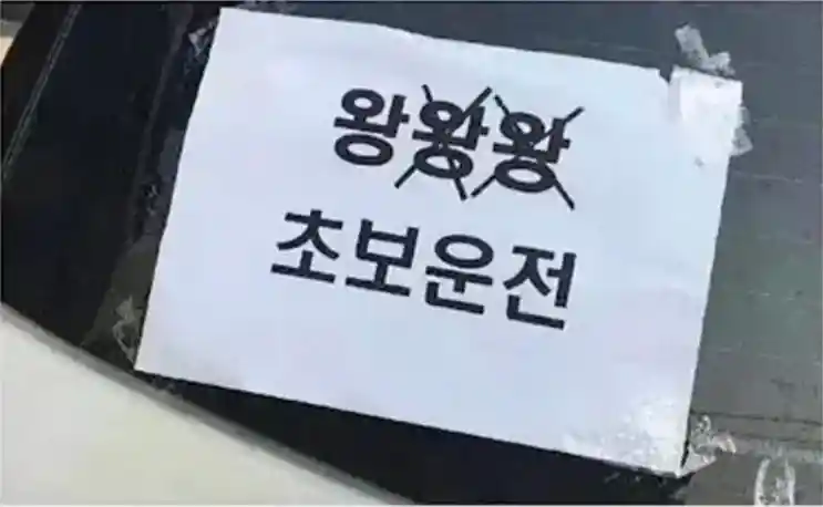 성장하는 초보운전자