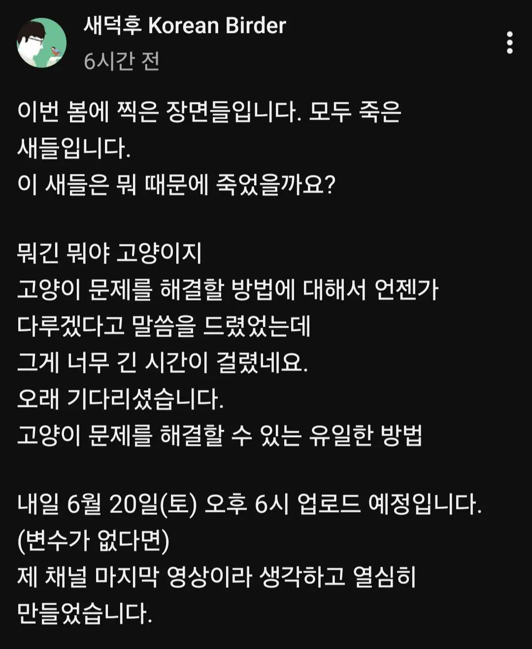 유튜버 새덕후가 공개한 죽은 새들