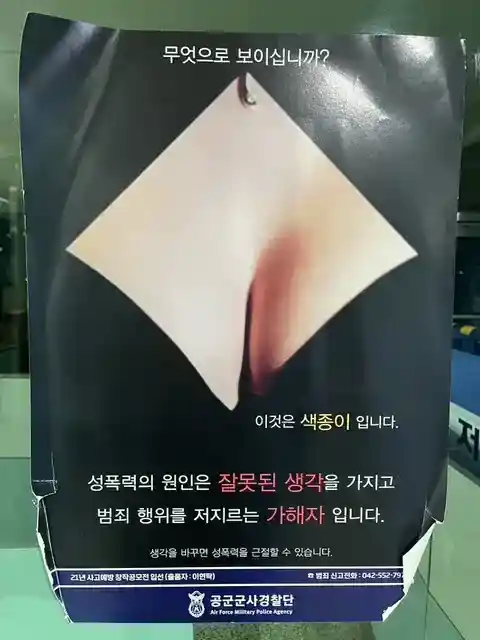 ㅇㅎ?) 무엇으로 보이십니까 ??