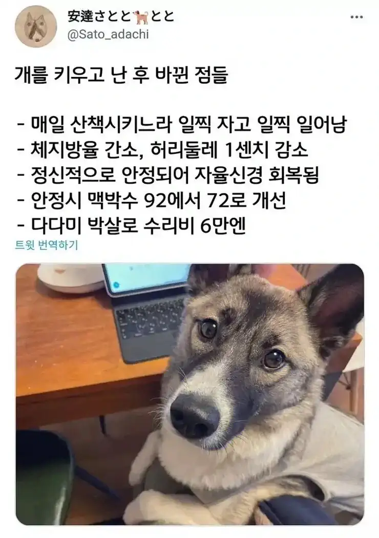 개를 키우고 나서 바뀐 삶.jpg