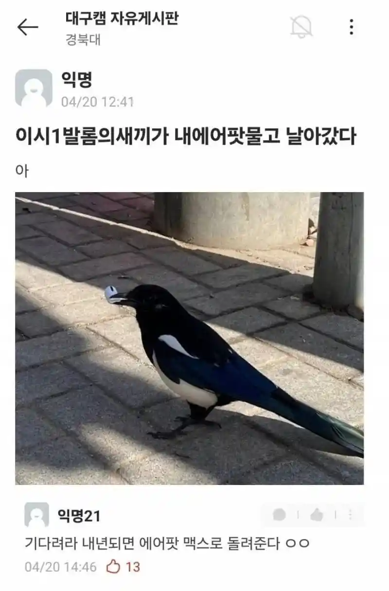 경북대 에어팟 강탈 사건