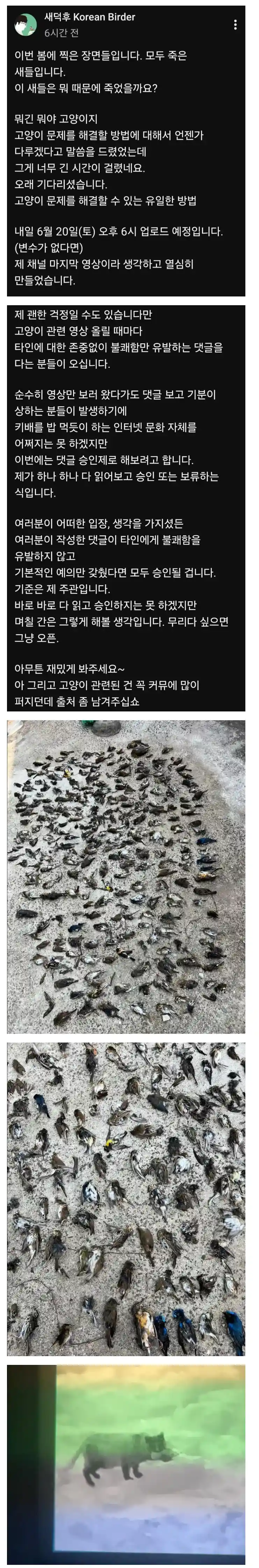 유튜버 새덕후가 공개한 죽은 새들..jpg ㄷㄷㄷㄷㄷㄷ