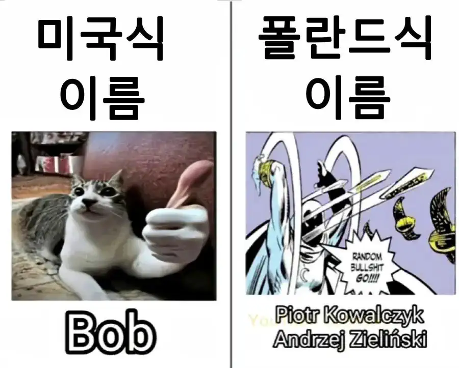 미국식 이름 vs 폴란드식 이름.jpg