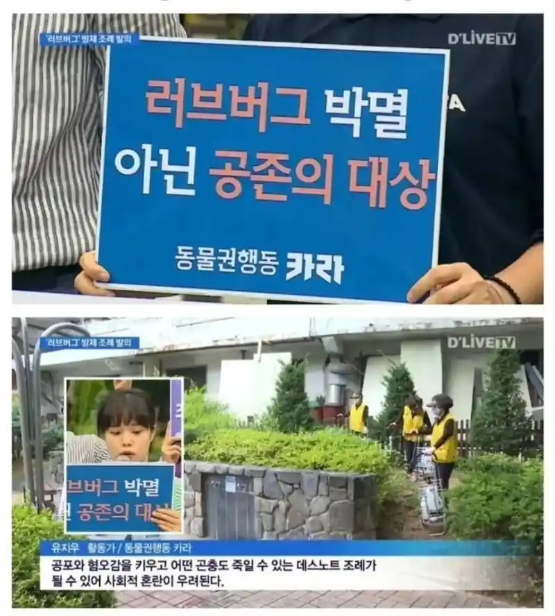 러브버그 박멸 아닌 공존의 대상