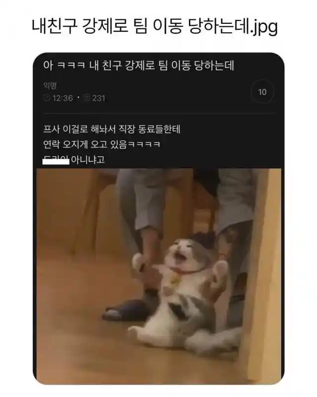 강제로 팀 이동당하는 사람 프사