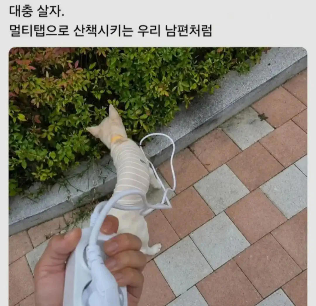 대충 살자