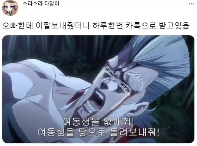 오빠한테 장난으로 짤보내줬는데