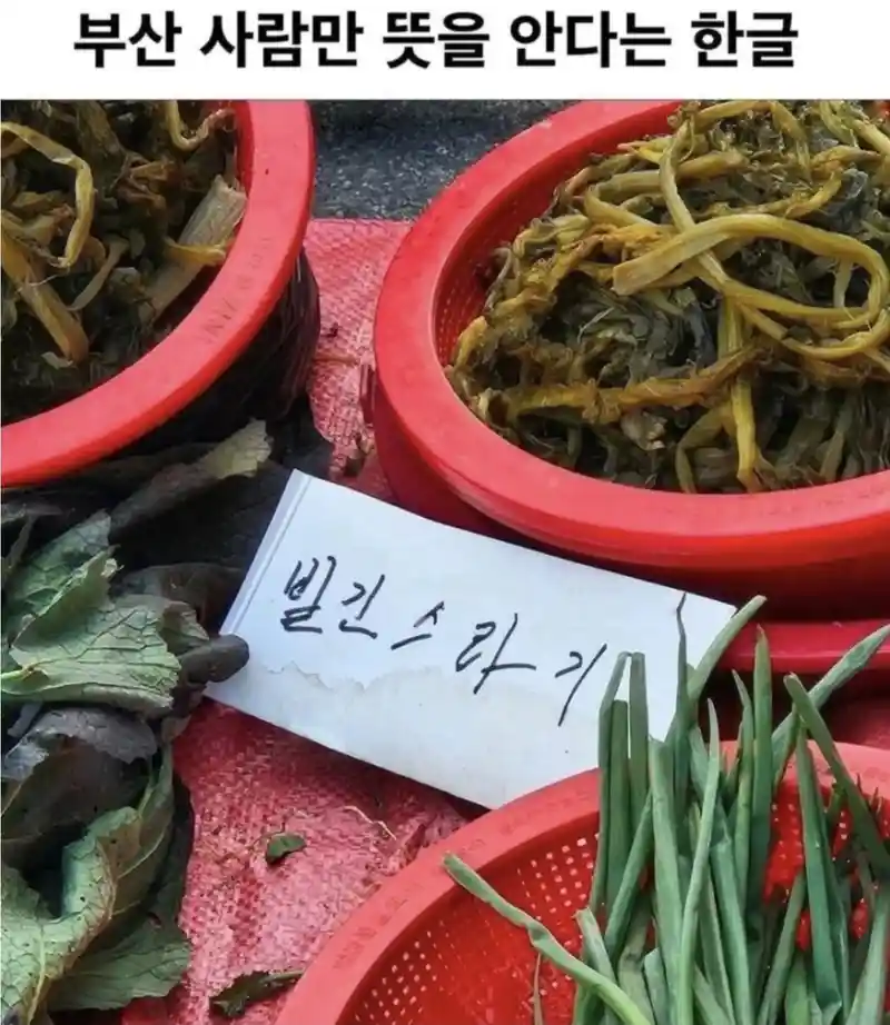 부산 사람만 뜻을 안다는 한글