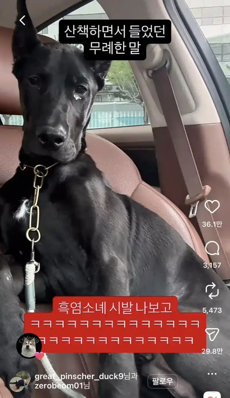 산책하면서 들었던 가장 무례한 말.jpg