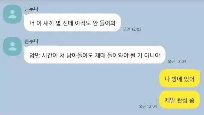 흔한 남매 대화