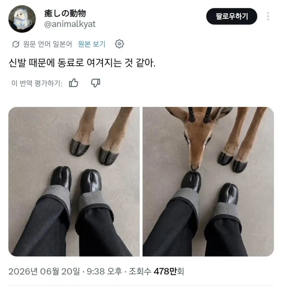 신발 때문에 동료로 여겨지는 것 같아.jpg