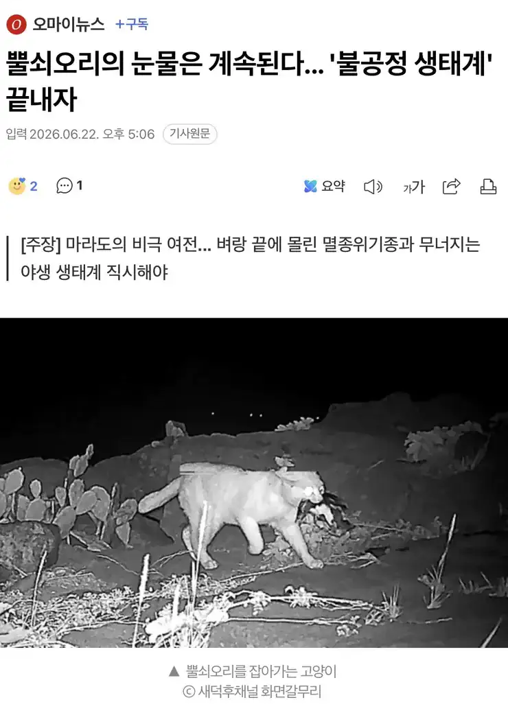 뿔쇠오리의 눈물은 계속된다... '불공정 생태계' 끝내자