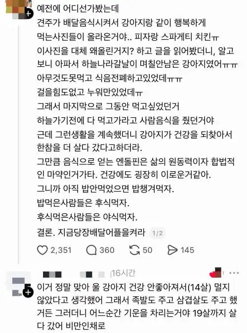 주인이 강아지에게 배달음식을 먹인 이유
