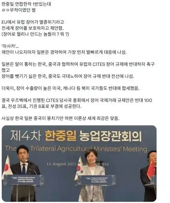 한중일 연합을 이뤄낸 사건