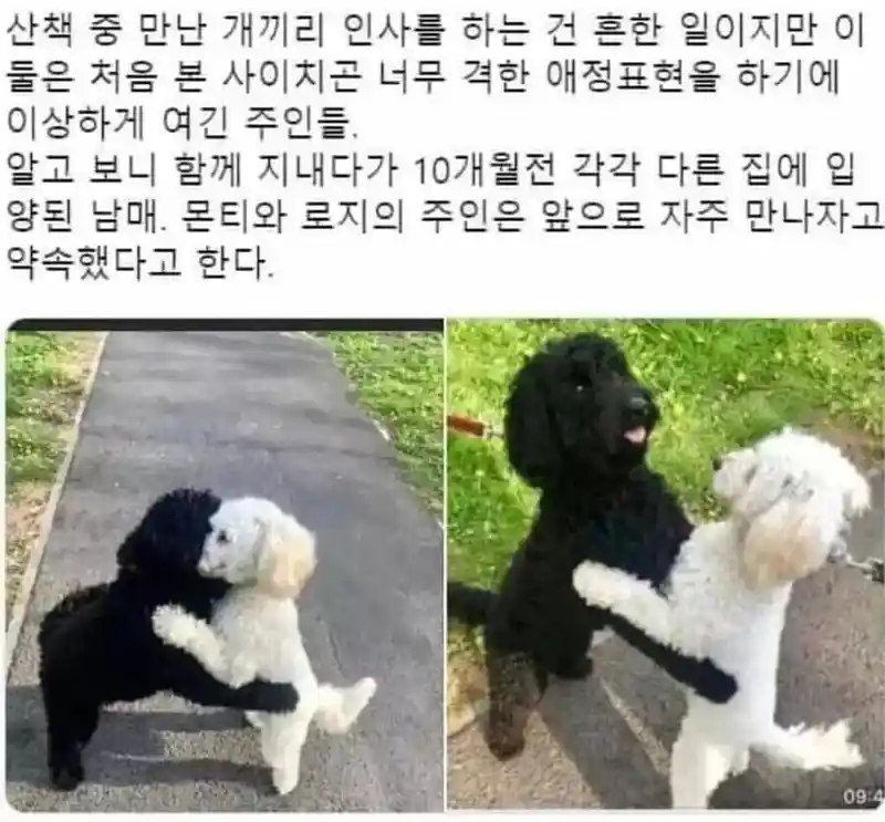이산가족 상봉