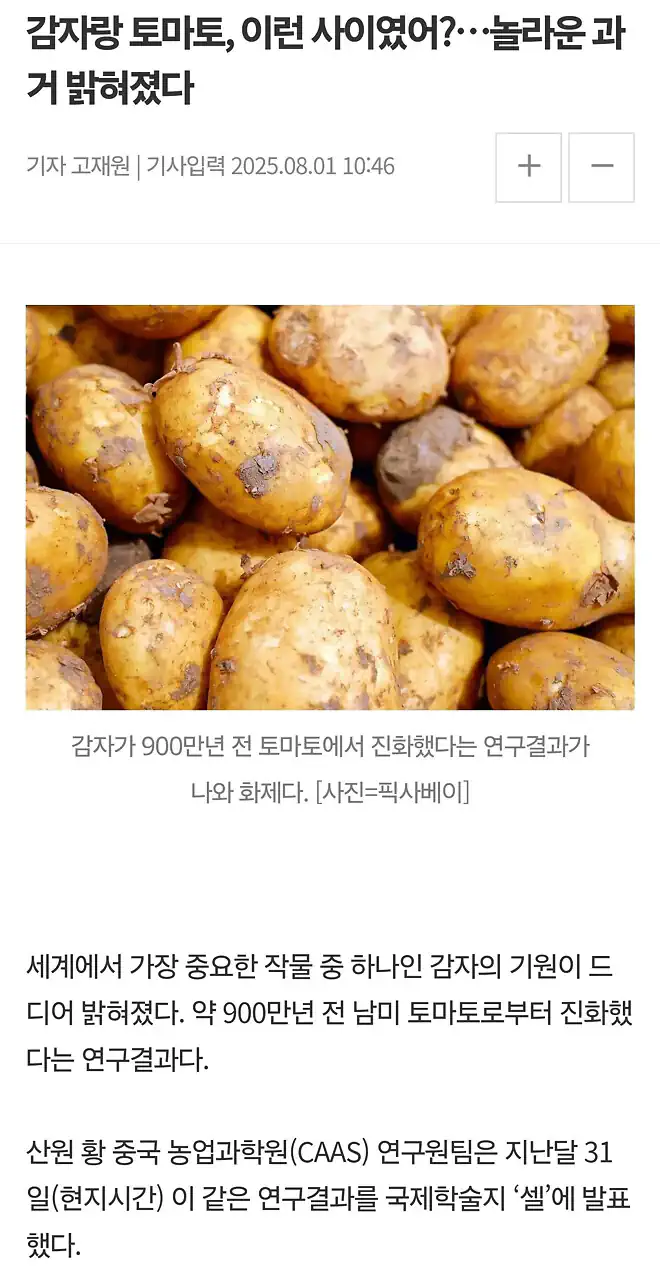 감자, 900만년전 토마토에서 진화.news