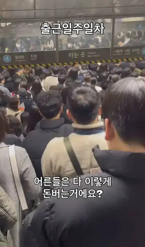 출근 일주일차 직장인 후기.jpg