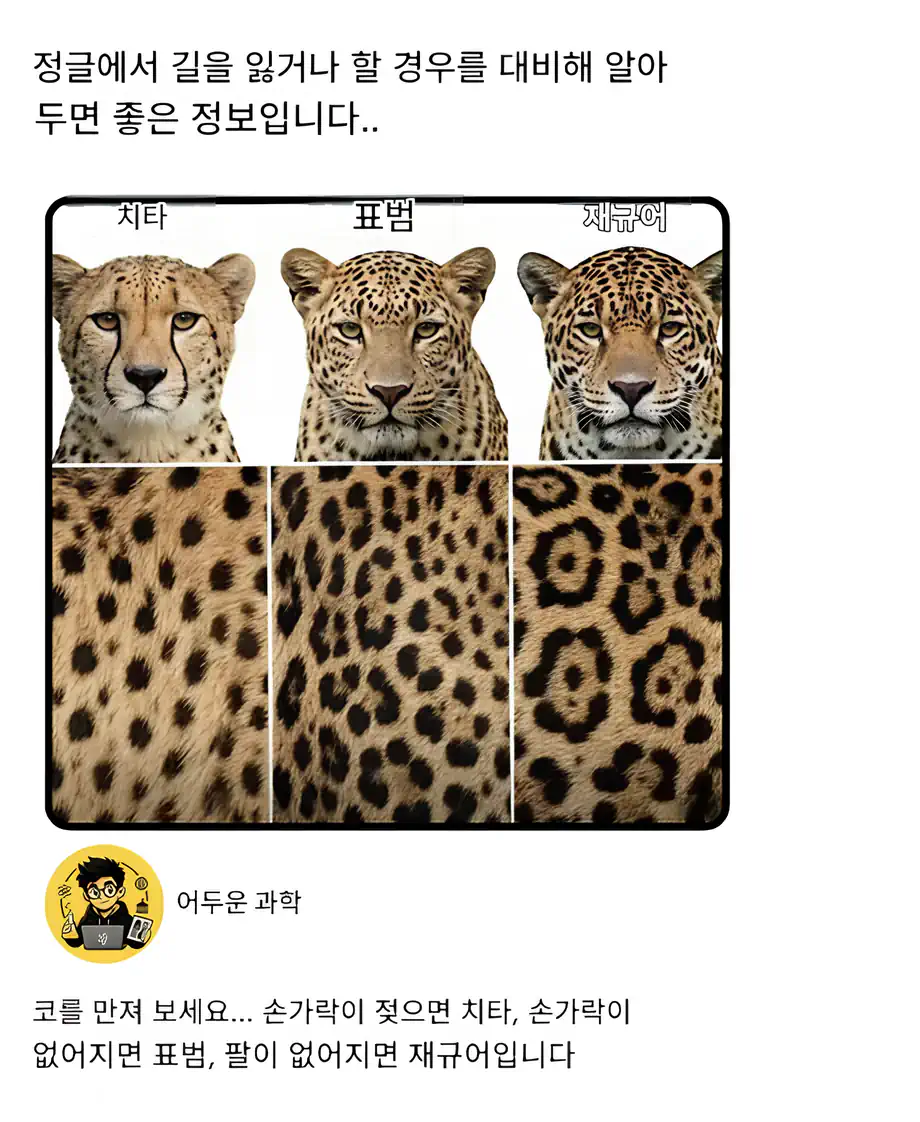정글에서 길을 잃었을 때 유용한 정보
