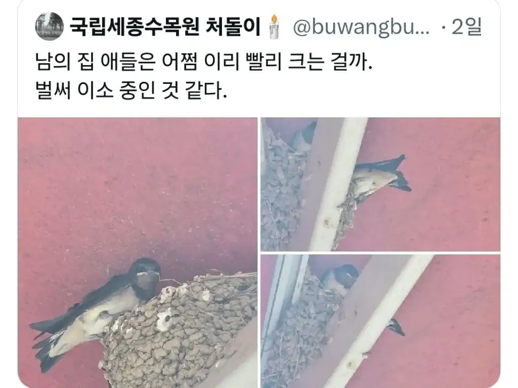 ??? : 다 컸으면 자립하라고!!!