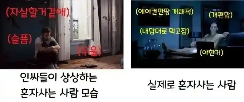 혼자 사는 사람 모습, 상상 vs 실제