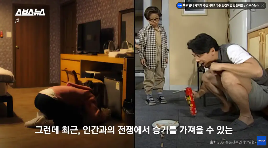 요즘 바퀴벌레가 쉽게 죽지않는 이유.jpg