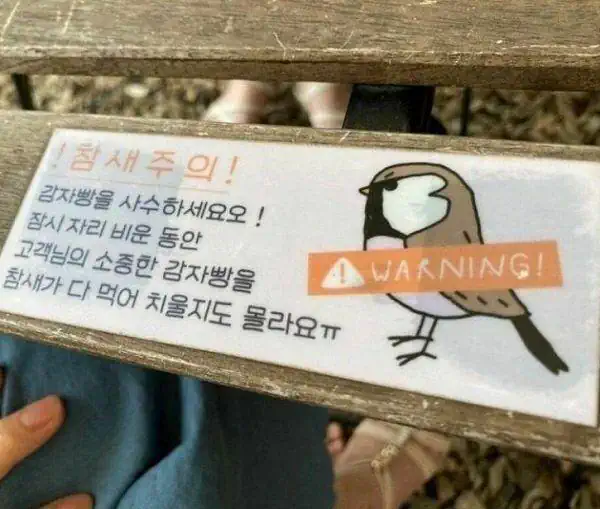 어느 감자빵 맛집에 붙은 경고문