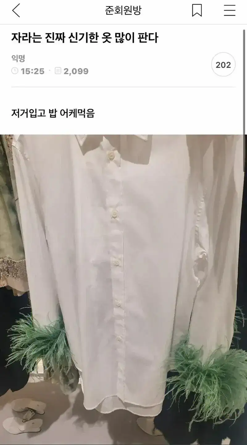 자라에서만 파는 신기한 옷
