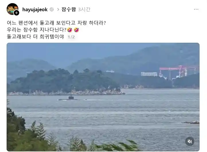 돌고래가 보인다는 펜션에 위기감을 느낀 사장님.jpg