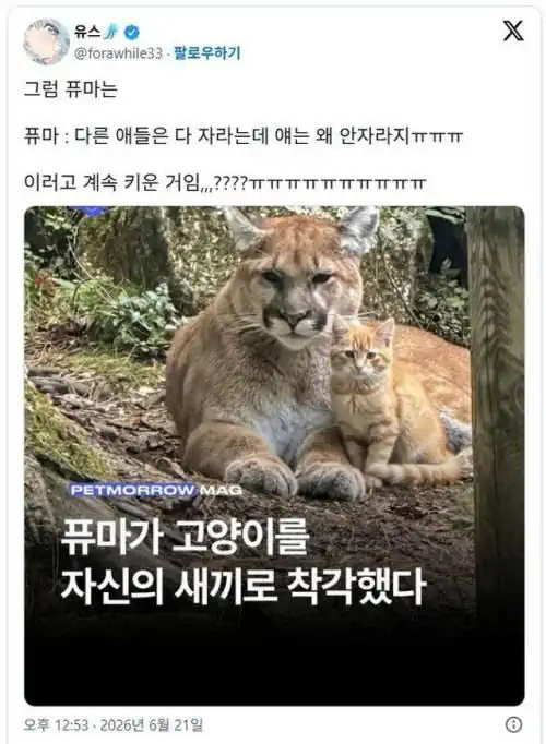 X] 우리 애기가 너무 안자라요.twt