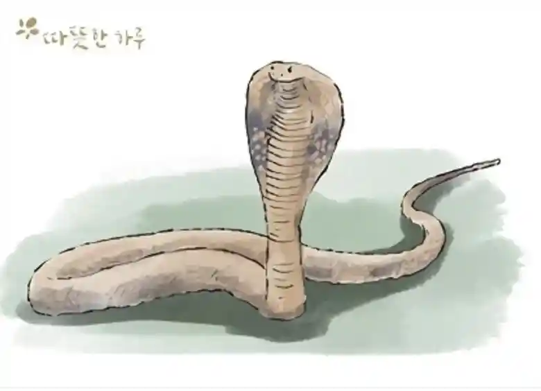코브라 효과 (Cobra effect).txt
